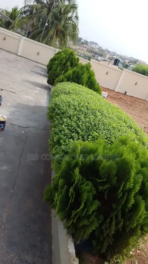 Horticultural Service