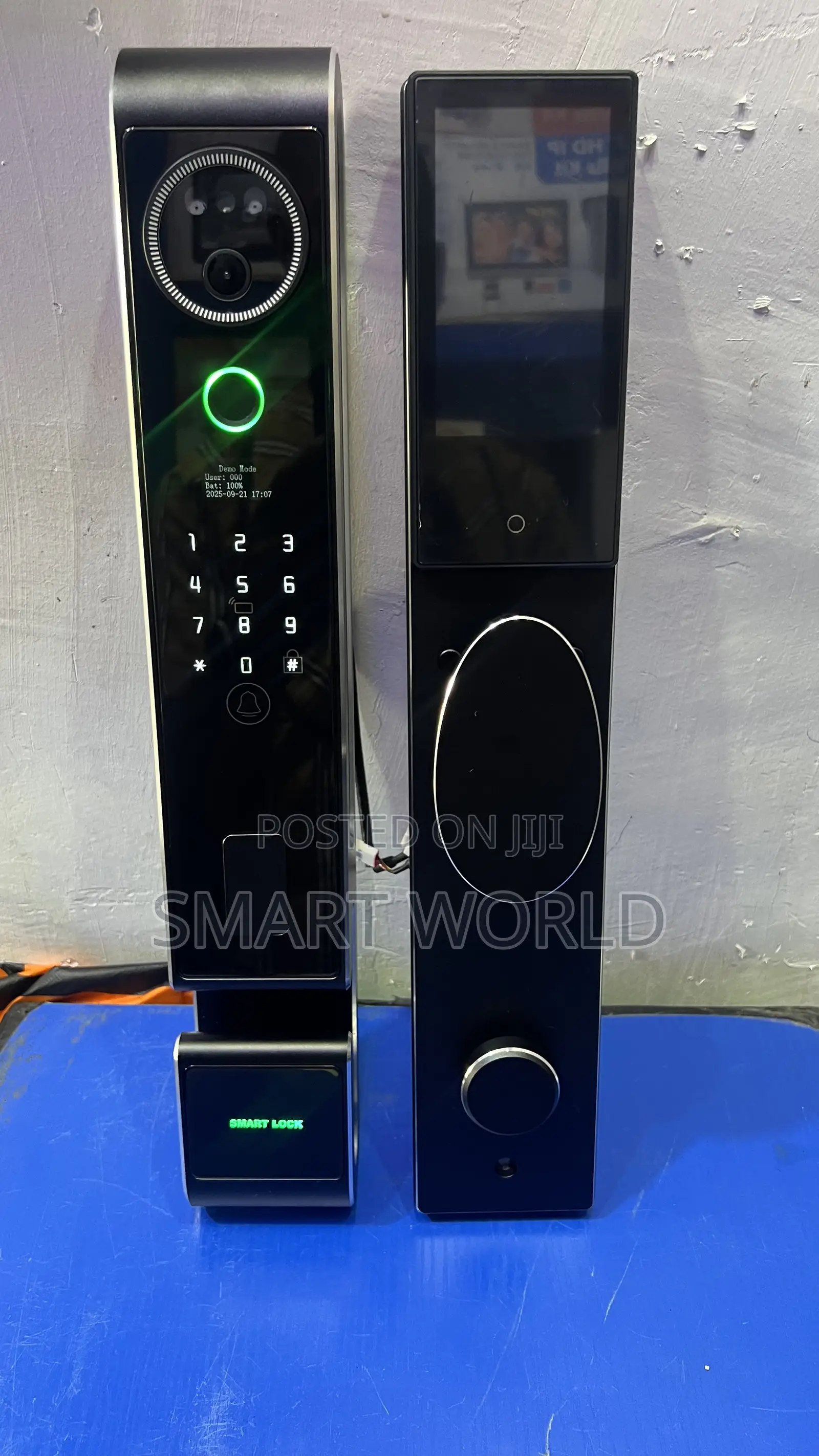 Luxury Face Recognition Smart Lock (Cb66)