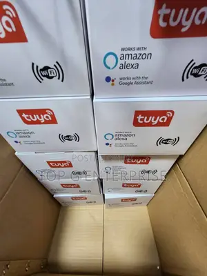 Tuya Smart PTZ Camera