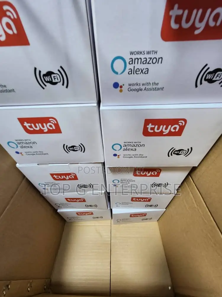 Tuya Smart PTZ Camera