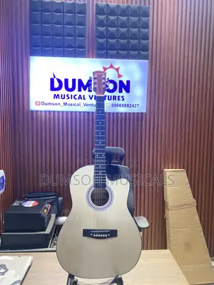 Acoustic Guitar Elastic Sound