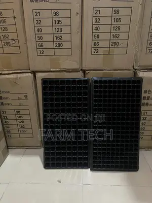 Seed Trays