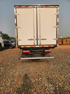 Brand New Shacman Lowry Cargo Truck