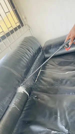 Bedbugs Xtreme Solution