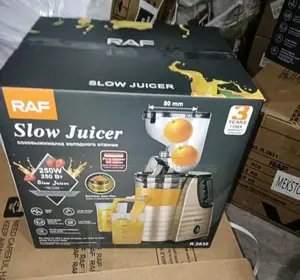 Raf Slow Juicer
