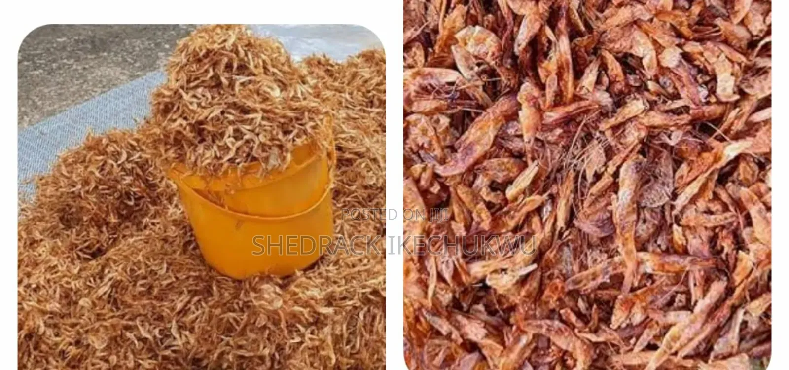 Food Ingredients