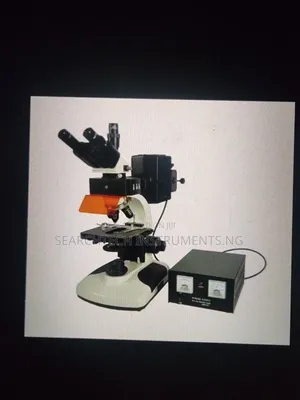 Fluorescent Microscope