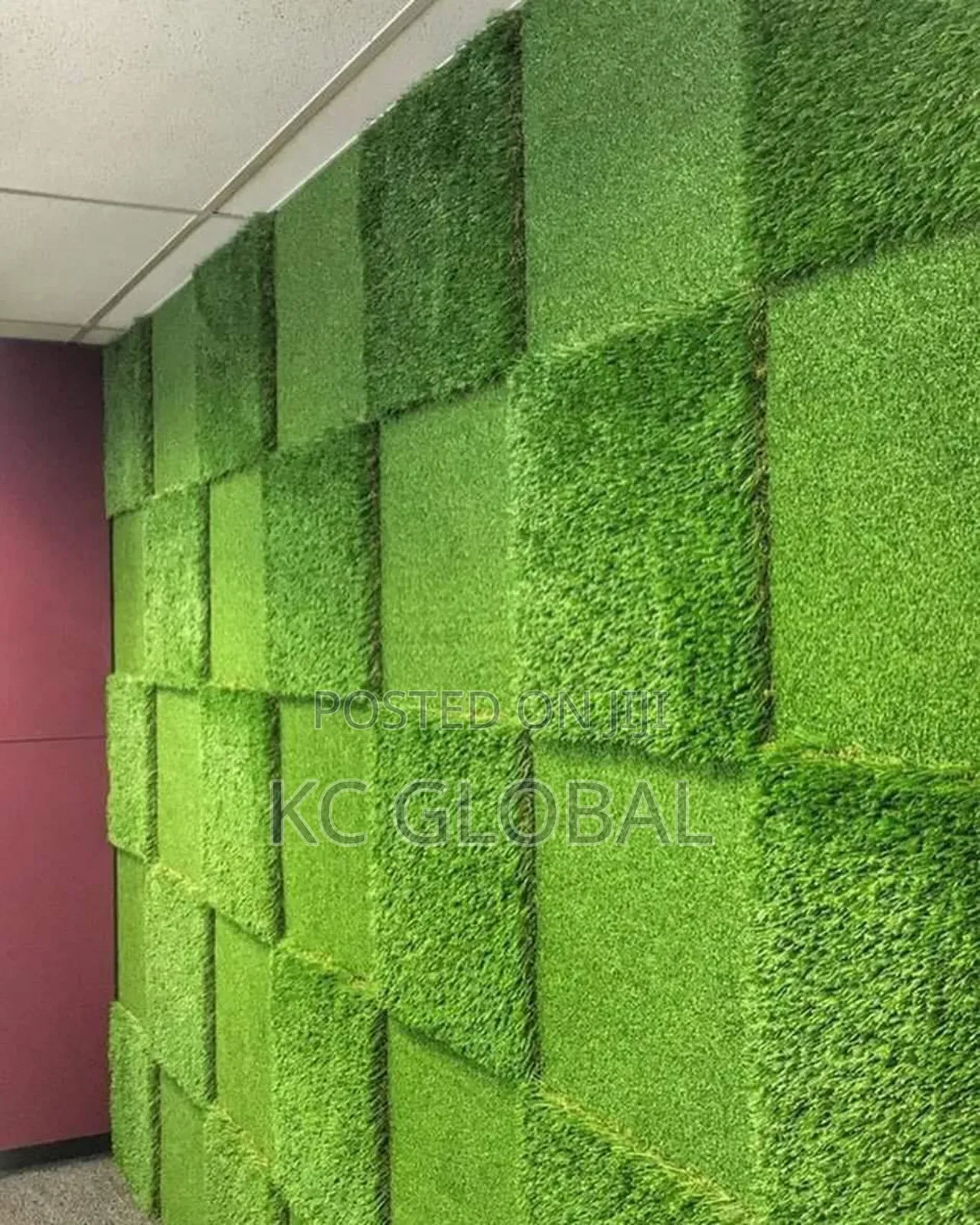 Artificial Grass Beauty