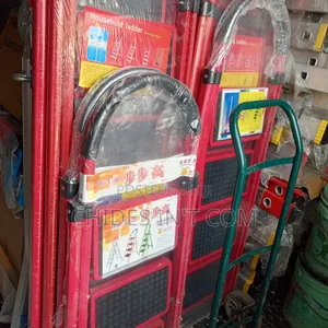 Safety Ladder