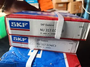 Nu317ecm Bearing
