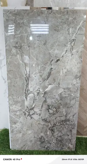 60x120 Indian Glozy Floor Tiles