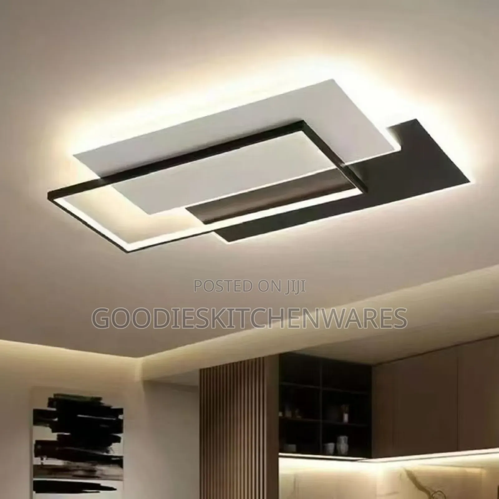Ceiling Light/ Chandelier
