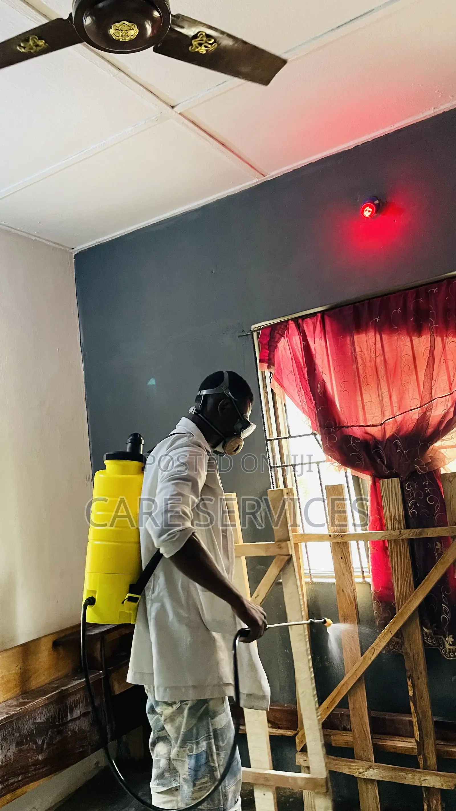 Standard Bedbugs Fumigation Service
