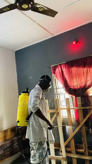 Standard Bedbugs Fumigation Service
