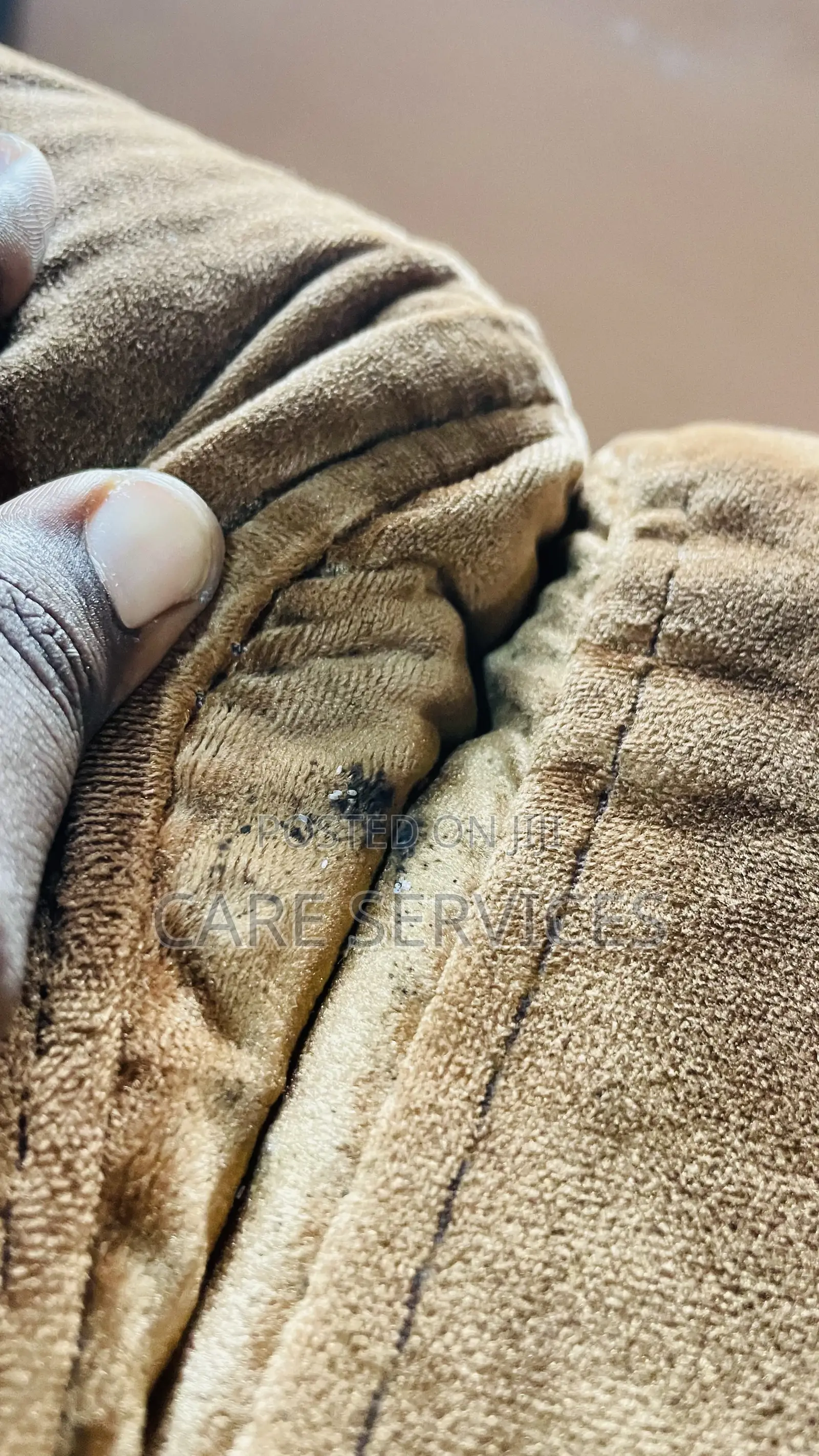 Standard Bedbugs Fumigation Service