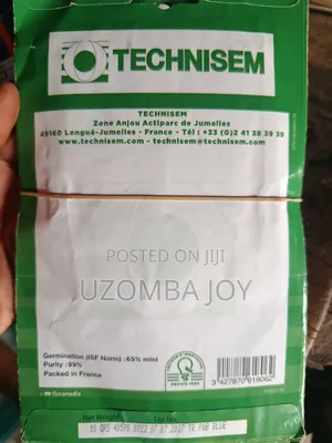 Hemera Shoko (Amaranth)