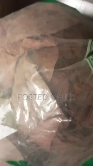 Soursop Leaf 100g