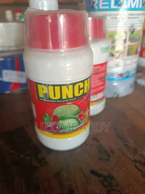 Punch Insecticide 250ml