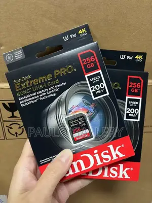 256gb Extrem Pro Memory Card