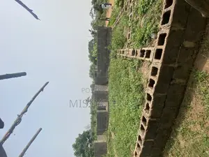 A Plot of Land