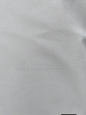 Primed Canvas