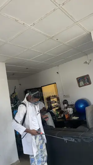 Dynamic Bedbugs Fumigation Service