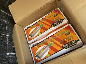 3000w 12v Sachet Inverter