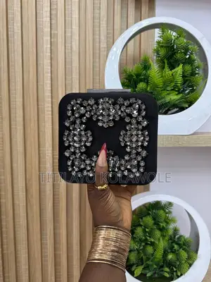 Luxury Chic Clutches Purse