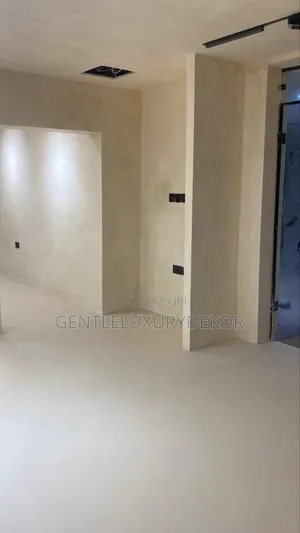 Limewash Decorative Painting Style