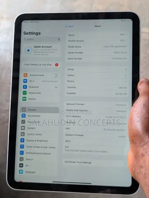 Apple iPad (2022) 256 GB Silver