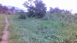 Distress Sale! 5 Apartment Block of Flats and 800 Square Metre Land