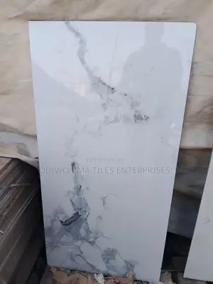 Super Glossy Floor Tiles From Odw Ventures