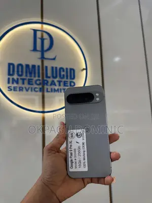 Google Pixel 9 Pro XL 256 GB Gray
