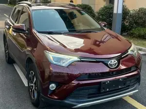 Toyota RAV4 2019 Maroon