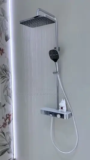 Thermostatic Shower Mixer (Gray | Chrome)