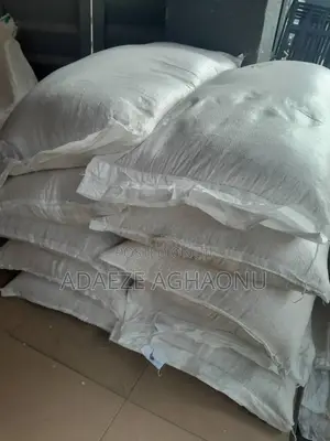 Big and Small Oats for Sale
