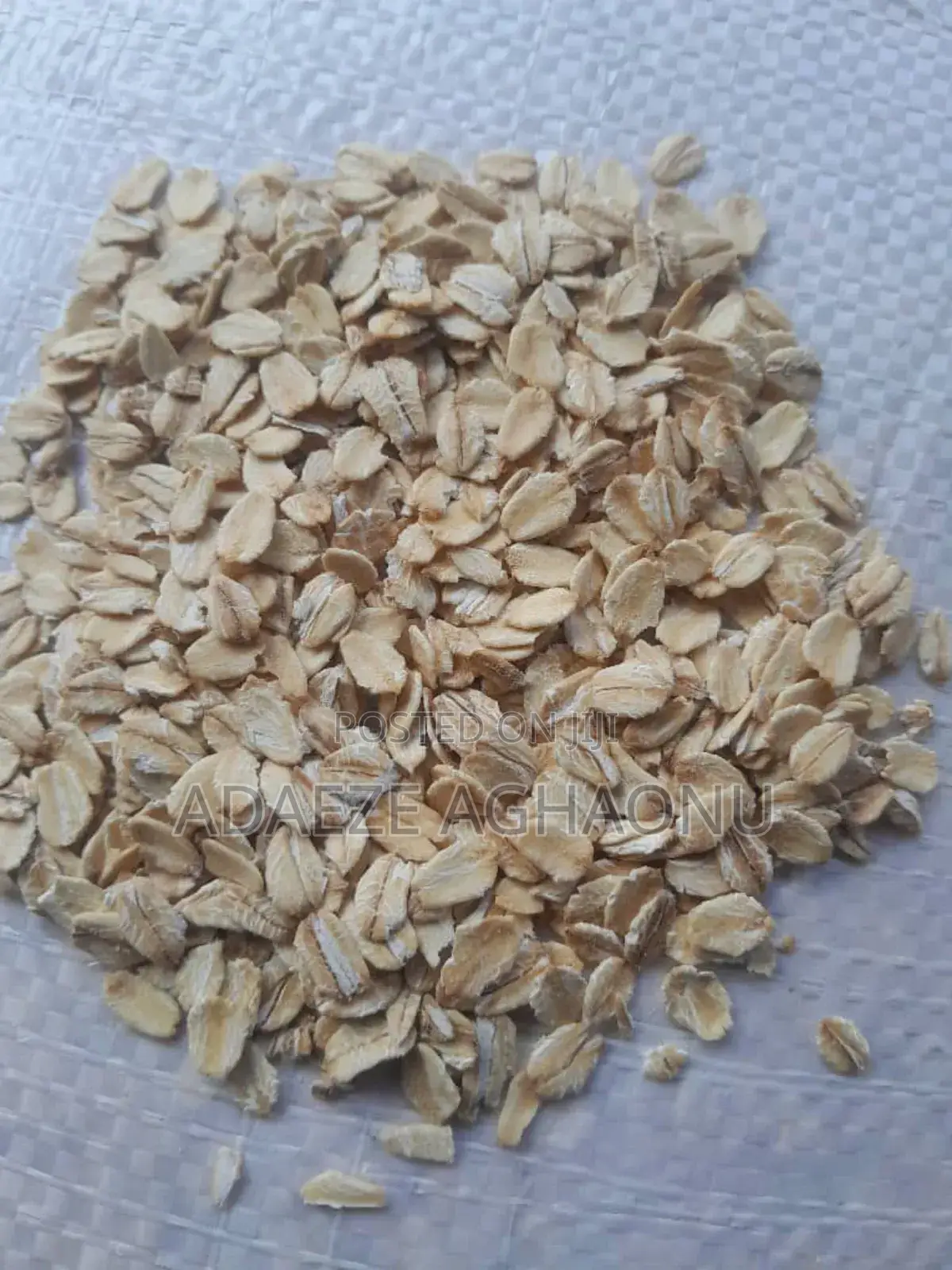 Big and Small Oats for Sale