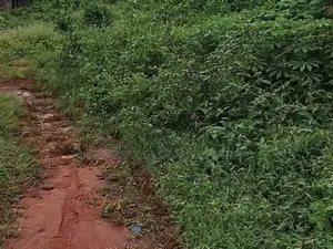 Wuse District Sales *4 Hectares With C of O : Purpose- Commercial
