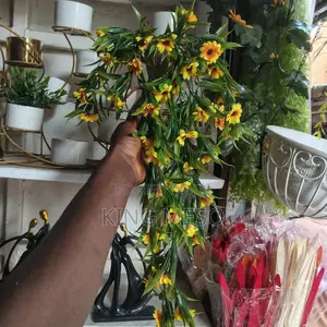 Dropping Flower Basket Flower Vase Available