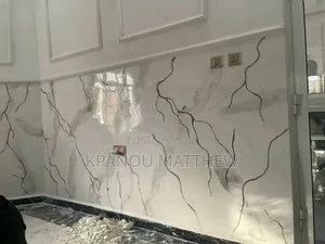 A Professional Painter