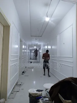 A Professional Painter