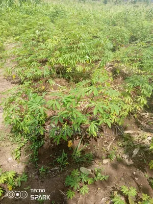 Land for Sale in Uyo