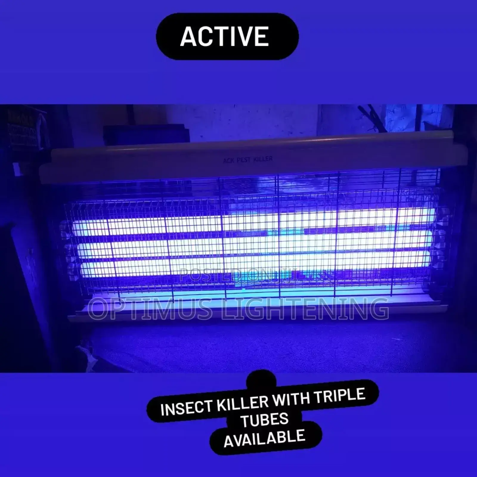 Insects Killer