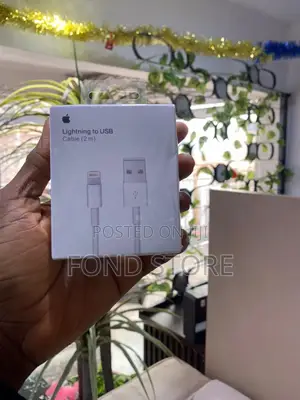 Lightening to Usb