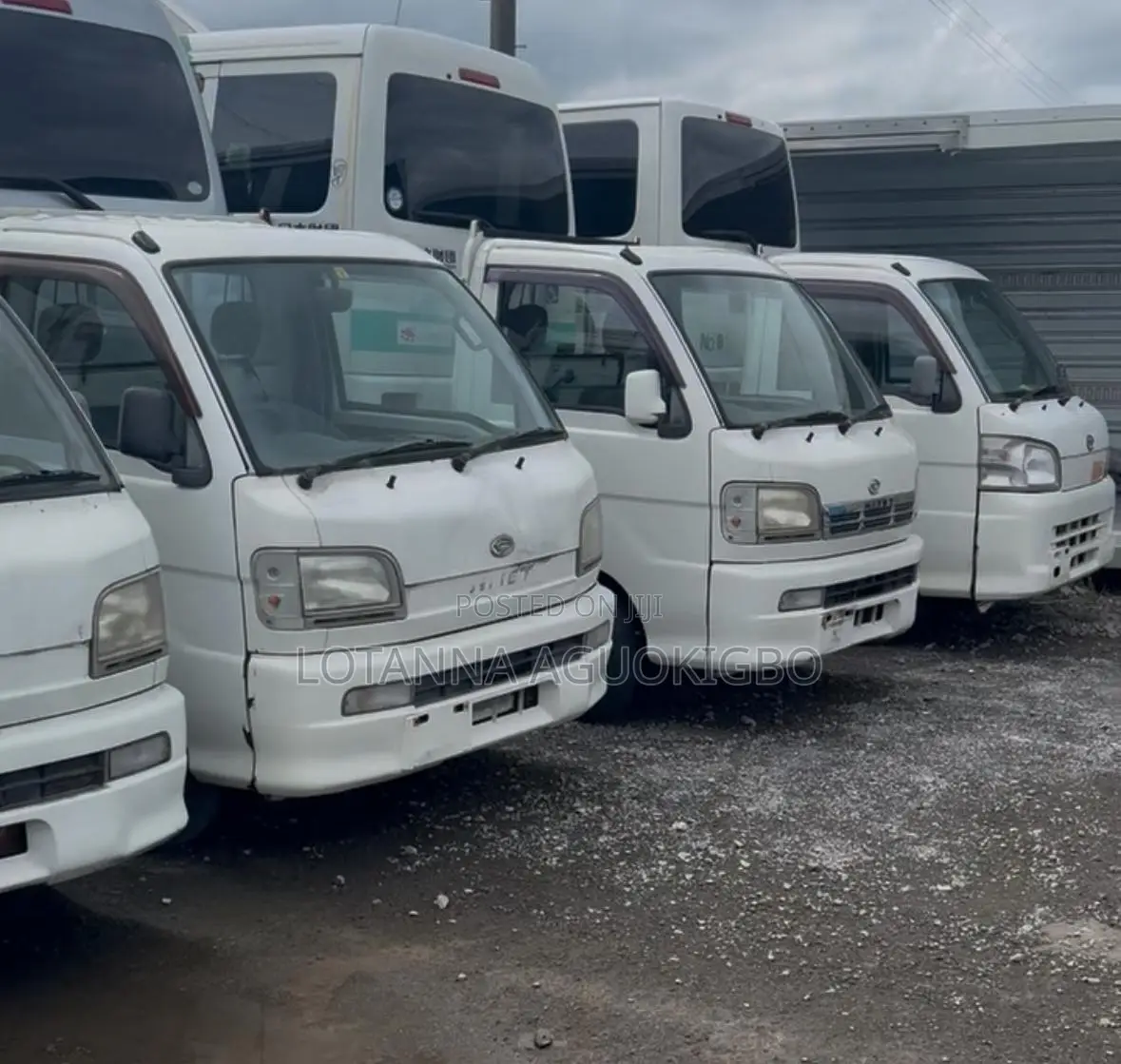 Bus 1991 White