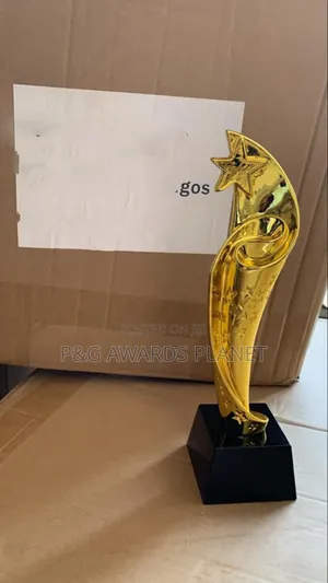 Non Peeling Trophy Award Pg4091