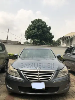 Hyundai Genesis 4.6 2010 Blue