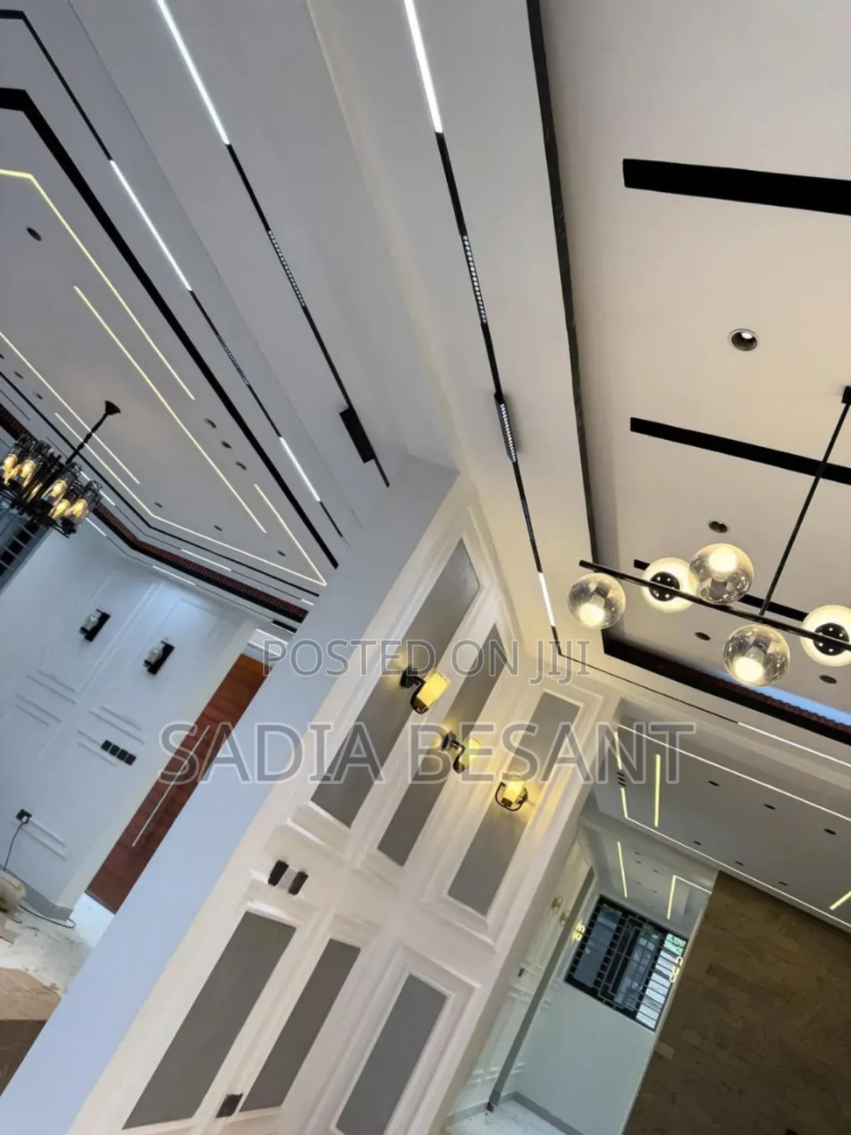 Ceiling Project Spotlight