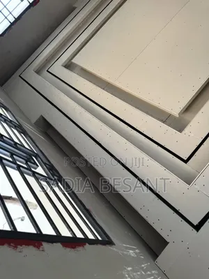 Ceiling Project Spotlight