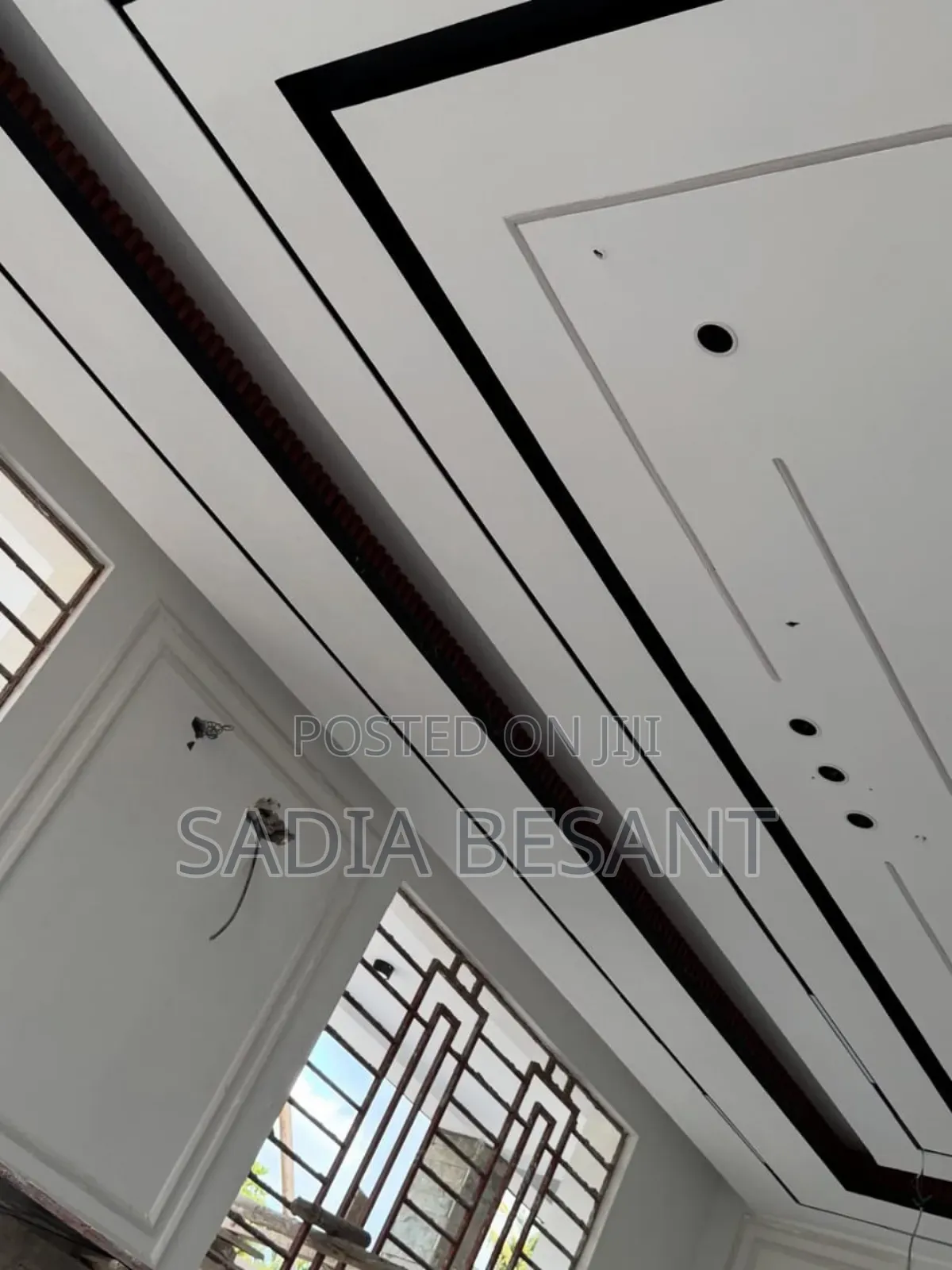 Ceiling Project Spotlight